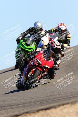 media/Feb-12-2022-SoCal Trackdays (Sat) [[3b21b94a56]]/Turn 12 (140pm)/